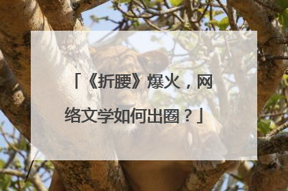 《折腰》爆火，网络文学如何出圈？