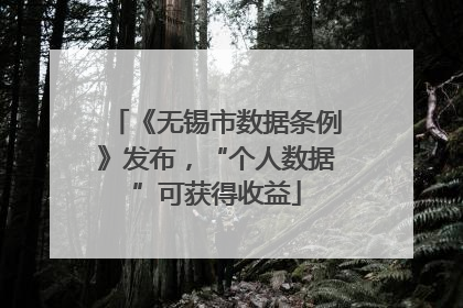 《无锡市数据条例》发布，“个人数据”可获得收益