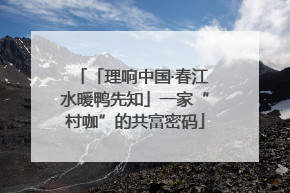 「理响中国·春江水暖鸭先知」一家“村咖”的共富密码
