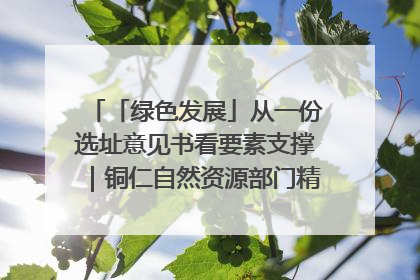 「绿色发展」从一份选址意见书看要素支撑｜铜仁自然资源部门精准服务助力项目落地