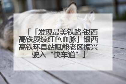 「发现最美铁路·银西高铁赓续红色血脉」银西高铁环县站赋能老区振兴驶入“快车道”