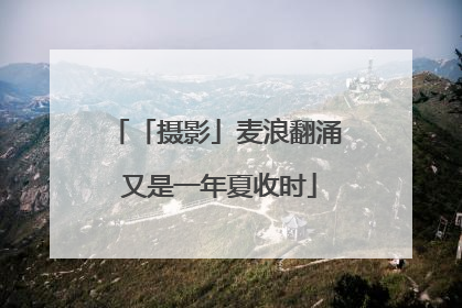「摄影」麦浪翻涌 又是一年夏收时