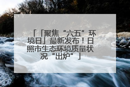 「聚焦“六五”环境日」最新发布！日照市生态环境质量状况“出炉”