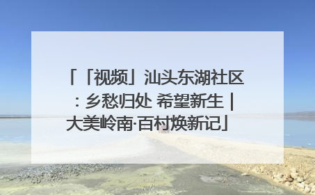「视频」汕头东湖社区：乡愁归处 希望新生｜大美岭南·百村焕新记