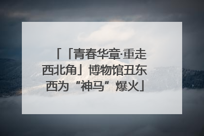 「青春华章·重走西北角」博物馆丑东西为“神马”爆火