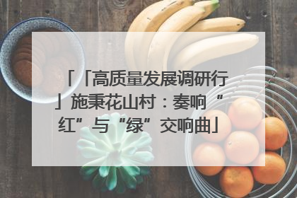 「高质量发展调研行」施秉花山村：奏响“红”与“绿”交响曲