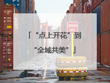 “点上开花”到“全域共美”