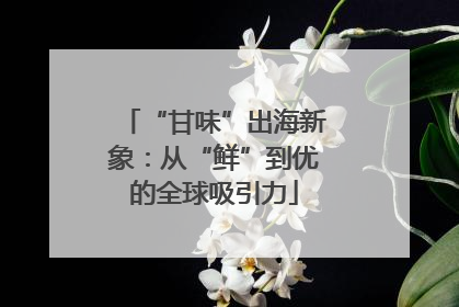 “甘味”出海新象：从“鲜”到优的全球吸引力