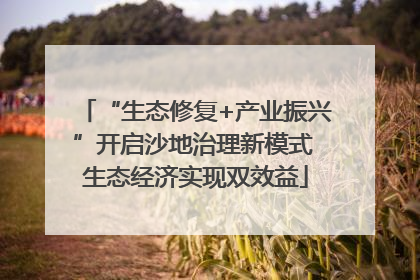 “生态修复+产业振兴”开启沙地治理新模式 生态经济实现双效益