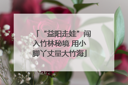 “益阳走娃”闯入竹林秘境 用小脚丫丈量大竹海