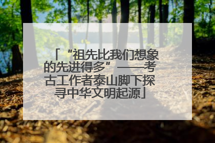 “祖先比我们想象的先进得多”——考古工作者泰山脚下探寻中华文明起源