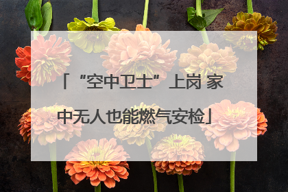 “空中卫士”上岗 家中无人也能燃气安检