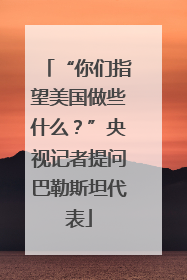 “你们指望美国做些什么？”央视记者提问巴勒斯坦代表