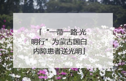 “一带一路·光明行”为蒙古国白内障患者送光明