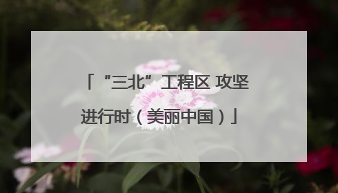 “三北”工程区 攻坚进行时（美丽中国）