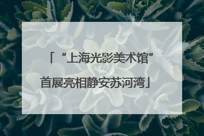 “上海光影美术馆”首展亮相静安苏河湾