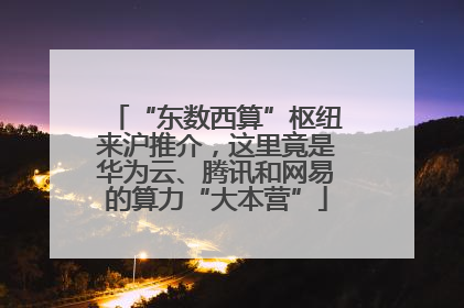 “东数西算”枢纽来沪推介，这里竟是华为云、腾讯和网易的算力“大本营”