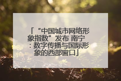 “中国城市网络形象指数”发布 南宁：数字传播与国际形象的西部窗口