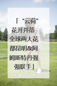 “云荷”花开并蒂 全球两大花都昆明&阿姆斯特丹强强联手