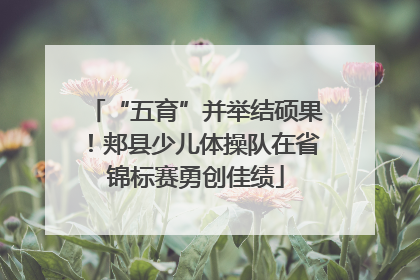 “五育”并举结硕果！郏县少儿体操队在省锦标赛勇创佳绩