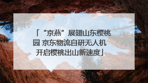 “京燕”展翅山东樱桃园 京东物流自研无人机开启樱桃出山新速度