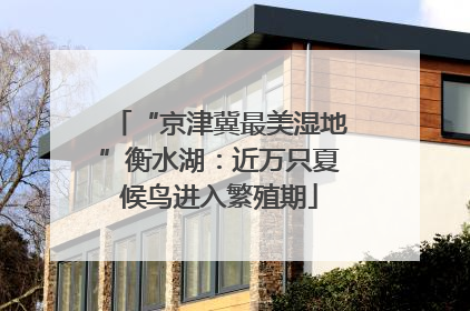 “京津冀最美湿地”衡水湖：近万只夏候鸟进入繁殖期