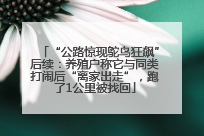 “公路惊现鸵鸟狂飙”后续：养殖户称它与同类打闹后“离家出走”，跑了1公里被找回