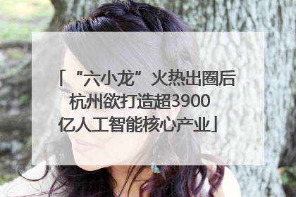 “六小龙”火热出圈后 杭州欲打造超3900亿人工智能核心产业