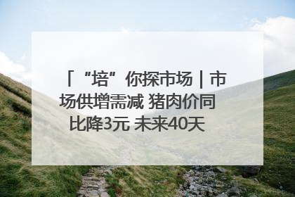 “培”你探市场｜市场供增需减 猪肉价同比降3元 未来40天便宜猪肉敞开吃