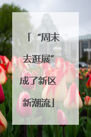“周末去逛展”成了新区新潮流