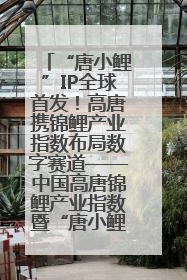 “唐小鲤”IP全球首发！高唐携锦鲤产业指数布局数字赛道——中国高唐锦鲤产业指数暨“唐小鲤”IP全球首发仪式在杭州举行