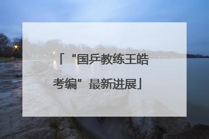 “国乒教练王皓考编”最新进展