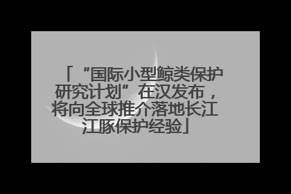 “国际小型鲸类保护研究计划”在汉发布，将向全球推介落地长江江豚保护经验