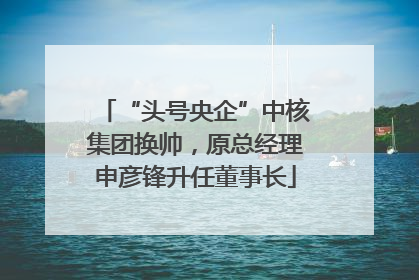 “头号央企”中核集团换帅，原总经理申彦锋升任董事长