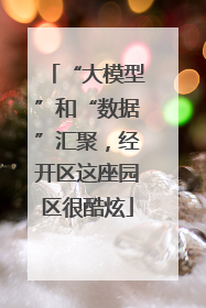 “大模型”和“数据”汇聚，经开区这座园区很酷炫
