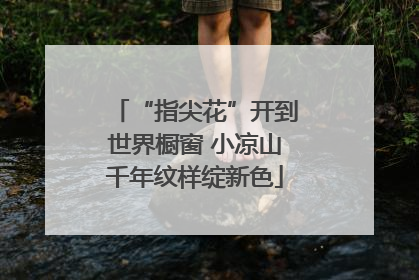 “指尖花”开到世界橱窗 小凉山千年纹样绽新色