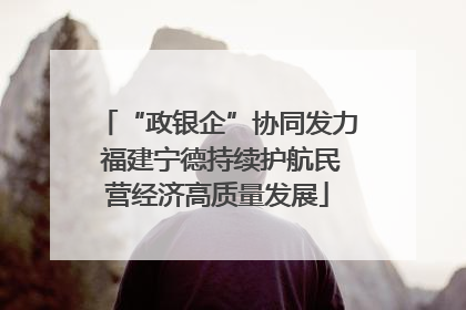 “政银企”协同发力 福建宁德持续护航民营经济高质量发展