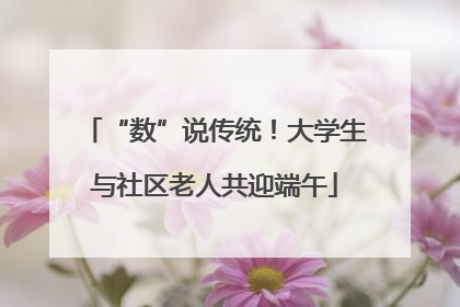 “数”说传统！大学生与社区老人共迎端午
