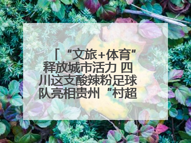 “文旅+体育”释放城市活力 四川这支酸辣粉足球队亮相贵州“村超”后收到感谢信