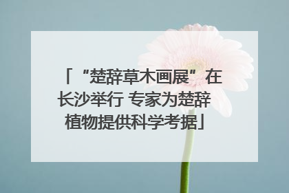 “楚辞草木画展”在长沙举行 专家为楚辞植物提供科学考据