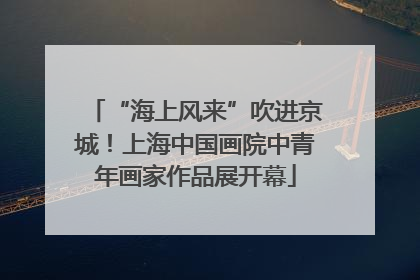 “海上风来”吹进京城！上海中国画院中青年画家作品展开幕