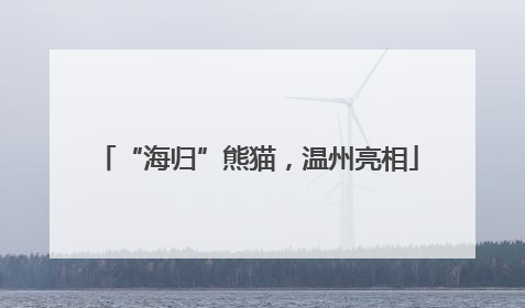 “海归”熊猫，温州亮相