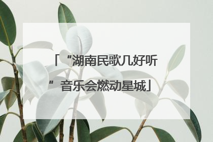“湖南民歌几好听”音乐会燃动星城