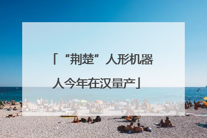 “荆楚”人形机器人今年在汉量产