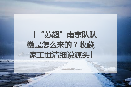 “苏超”南京队队徽是怎么来的？收藏家王世清细说源头