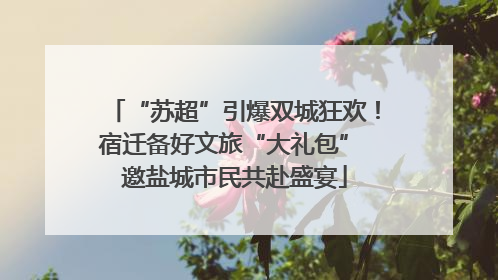 “苏超”引爆双城狂欢！宿迁备好文旅“大礼包” 邀盐城市民共赴盛宴