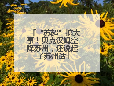 “苏超”搞大事！贝克汉姆空降苏州，还说起了苏州话
