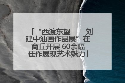 “西渡东望——刘建中油画作品展”在商丘开展 60余幅佳作展现艺术魅力