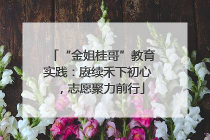 “金姐桂哥”教育实践：赓续禾下初心，志愿聚力前行