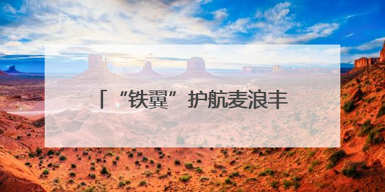 “铁翼”护航麦浪丰 平凉“一喷三防”织就夏粮丰收防护网